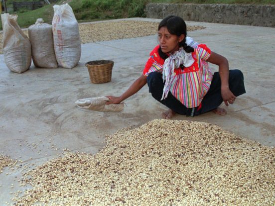 Au Chiapas, un Nescafé à l’arôme de désespoir