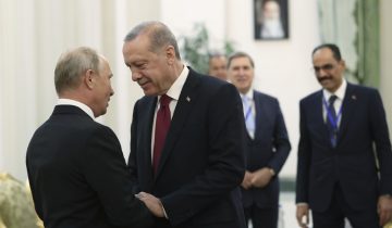 Erdogan plaide pour un cessez-le-feu