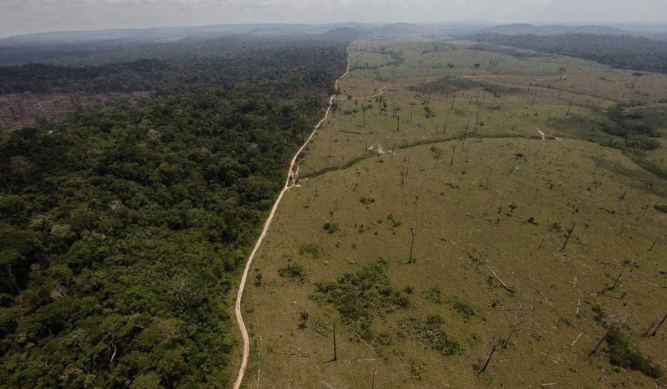 Bolsonaro à l’assaut de l’Amazonie