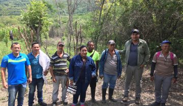 En Colombie, du maquis à la vie paysanne