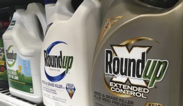 Monsanto à nouveau condamné à cause du Roundup