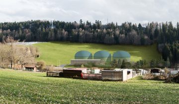 Biogaz à profusion dans les pâturages 1
