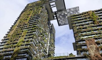 Révolution verte à Sydney