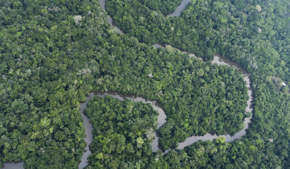 Les forêts tropicales pourraient relâcher du carbone