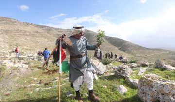 Des Palestiniens replantent des arbres déracinés par Israël