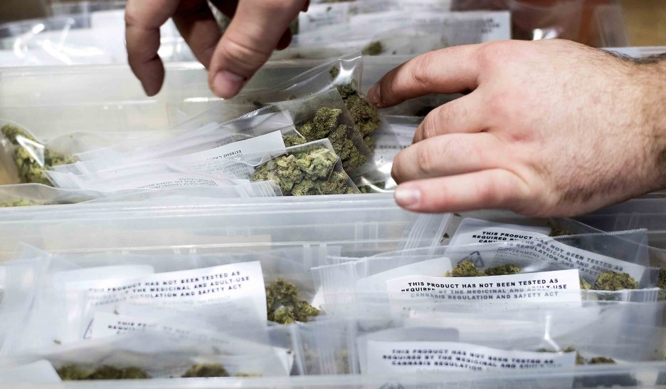 La distribution de cannabis à petits pas d’ici 2022 1