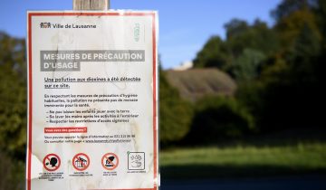 Dioxine: Lausanne propose une série de mesures
