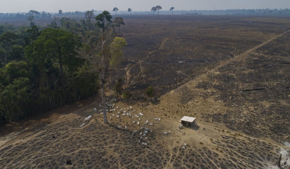 Deux accords pour tacler le méthane et protéger les forêts