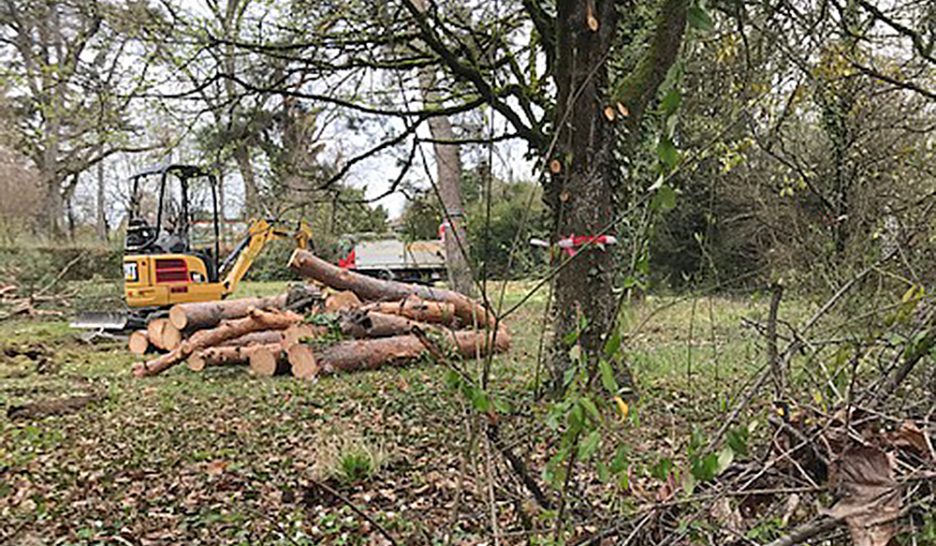Abattage d’arbres à la Gradeline