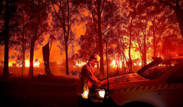 Les feux de forêt ont doublé en 20 ans
