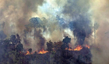 Jair Bolsonaro, ­ «pyromane»  de l’Amazonie