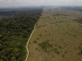 L’UBS financerait la déforestation
