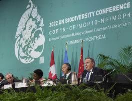 COP15: un accord historique?
