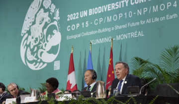 COP15: un accord historique?