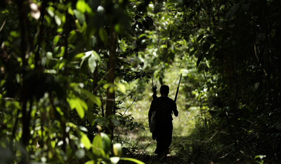 Au Brésil, les droits fonciers protègent les forêts