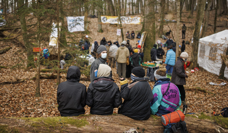 Des militants écologistes occupent une forêt à Vufflens-la-Ville