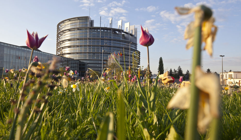 Un texte-clé du Pacte vert joue sa survie au Parlement européen