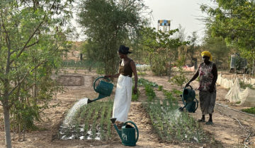 Au Sénégal, Ndem redynamise la ruralité