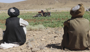 La fin du pavot en Afghanistan