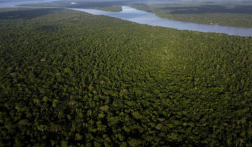 Forêt amazonienne: un possible «point de rupture» d'ici 2050