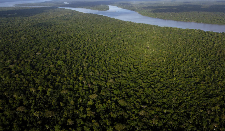 Forêt amazonienne: un possible «point de rupture» d'ici 2050