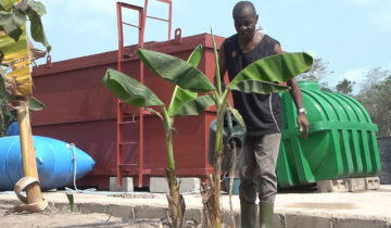 Les déchets agricoles, nouvel or vert en Côte d'Ivoire? 1