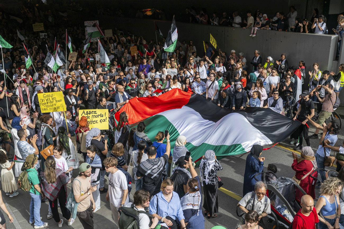 Plus de 2000 personnes manifestent pour la Palestine