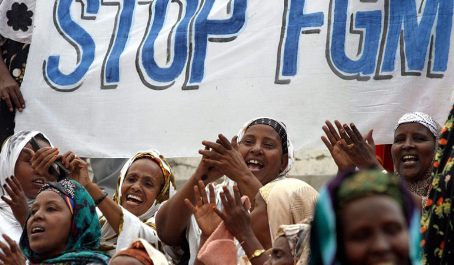 MGF, le point de situation