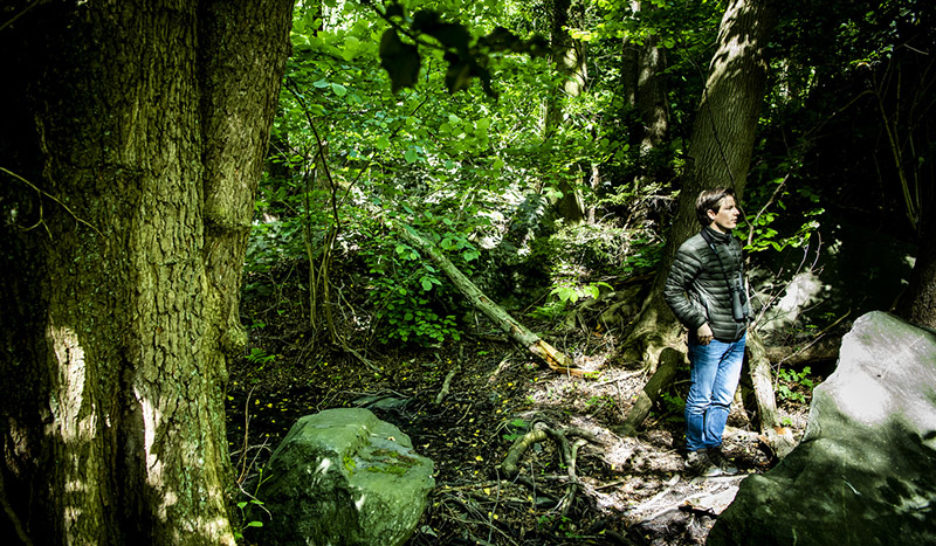 Les loisirs sans heurter la nature