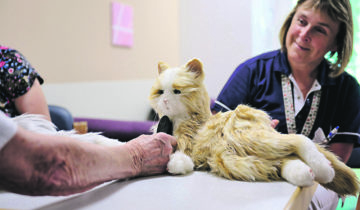 Réconfortant comme un vrai chat