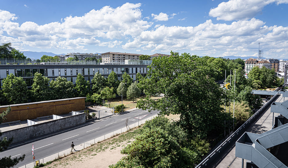 Recours contre le skatepark de Montbrillant