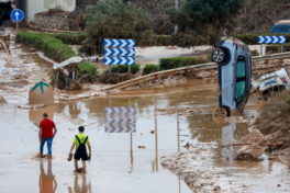 Une autoroute pour les lemmings?