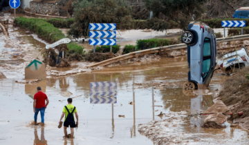 Une autoroute pour les lemmings?