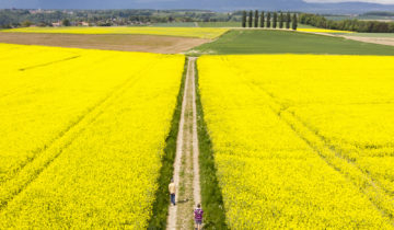 La surveillance des subventions à l’agriculture pointée du doigt