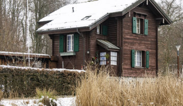 La vie étonnante des chalets urbains