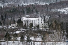 Sous l'étendard de la neutralité