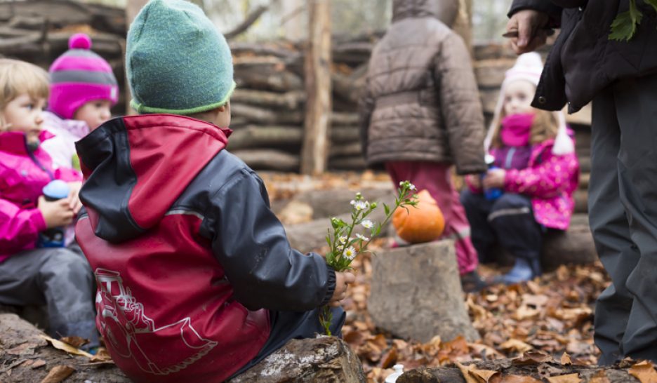 Éco-crèche en forêt: «C’est tout simplement génial!» 18