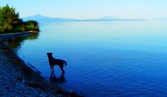 La magie vampire au bord du Léman