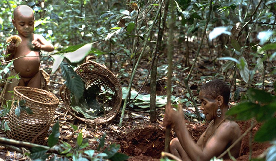 Le WWF, multinationale contre son gré 1