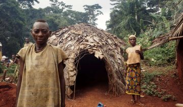 Le WWF sur le banc des accusés