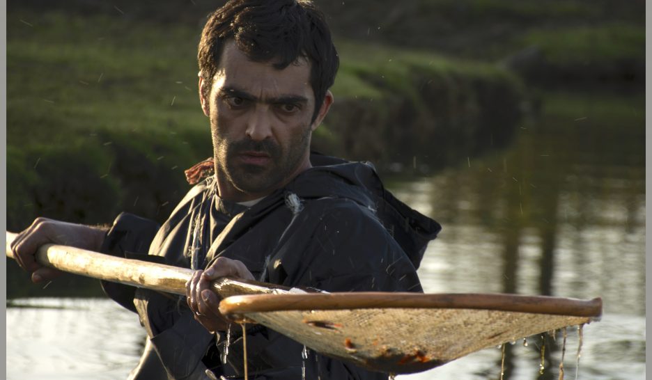 Corruption contagieuse 1