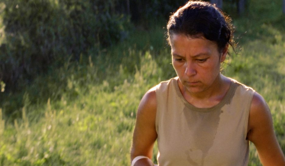 Roms, chasse ouverte