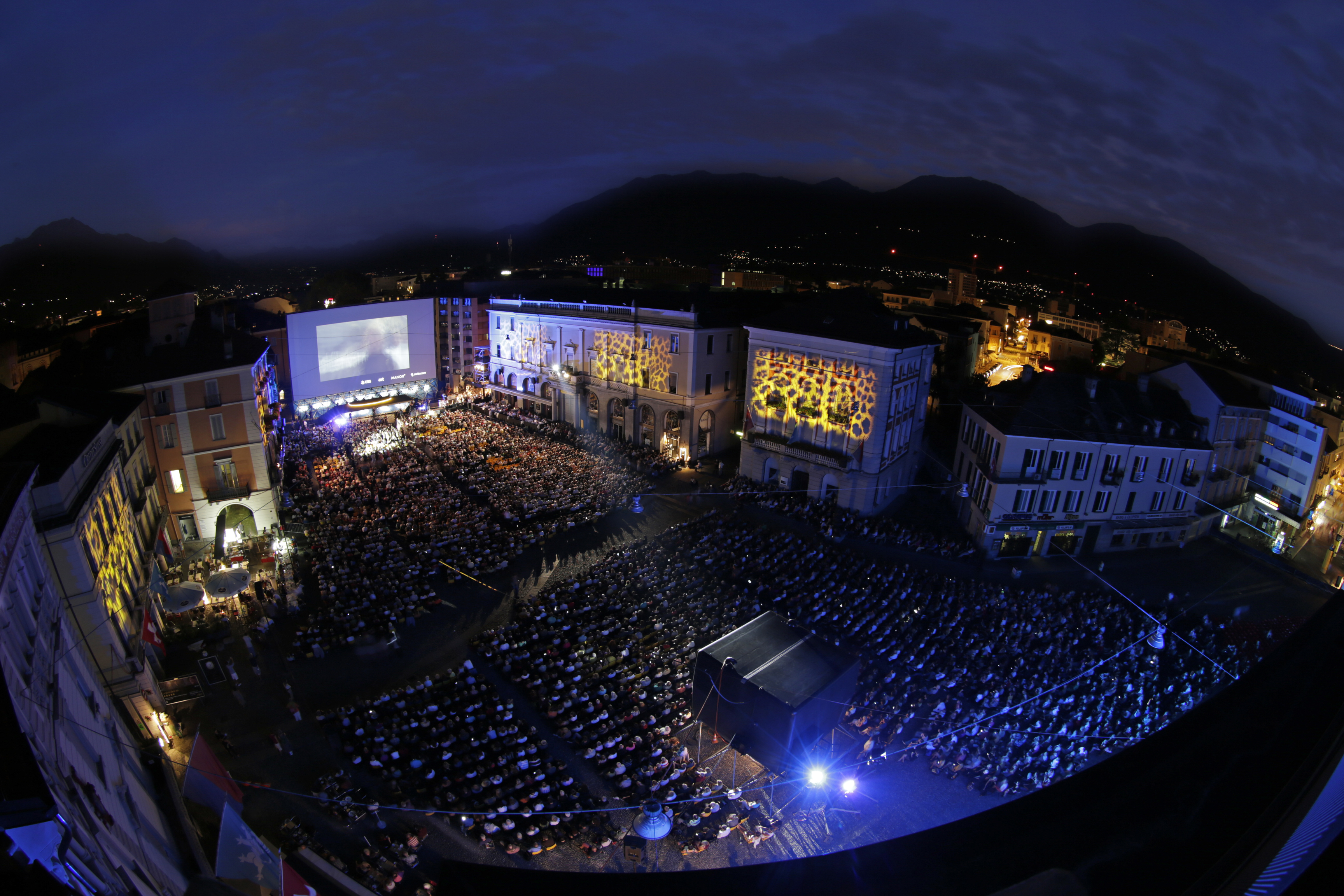 Le léopard a bonne mine