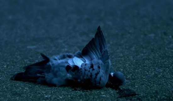 Déprime en milieu urbain