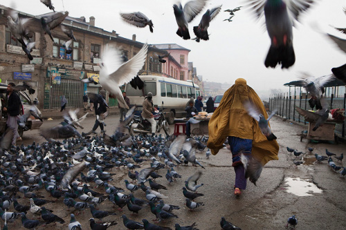 Le courage a de l’avenir
