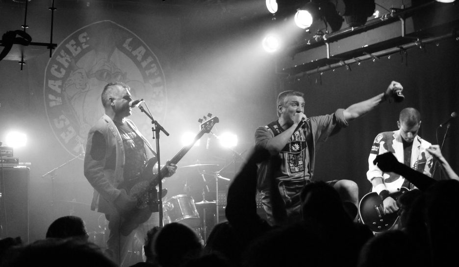 Les Vaches Laitières n’ont pas fini de pogoter et de siroter