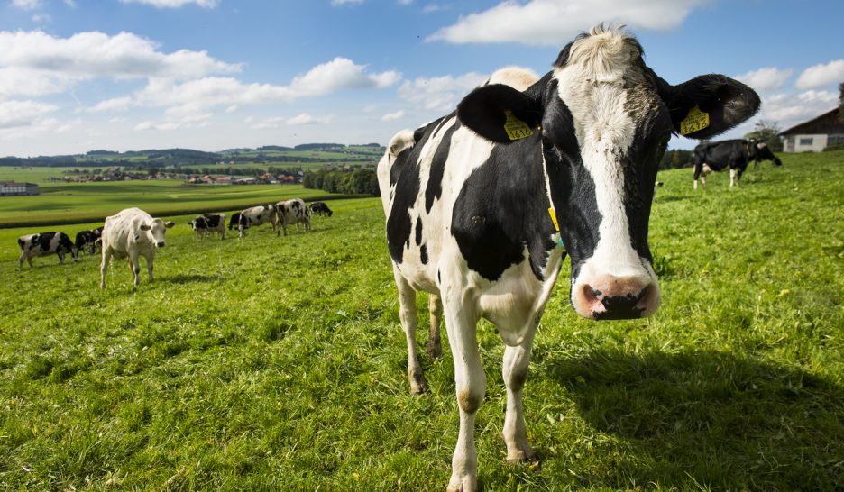 Non au texte pour des aliments équitables