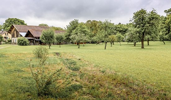 Densification: «non» à Chêne-Bougeries, «oui» au Petit-Saconnex et à Bernex