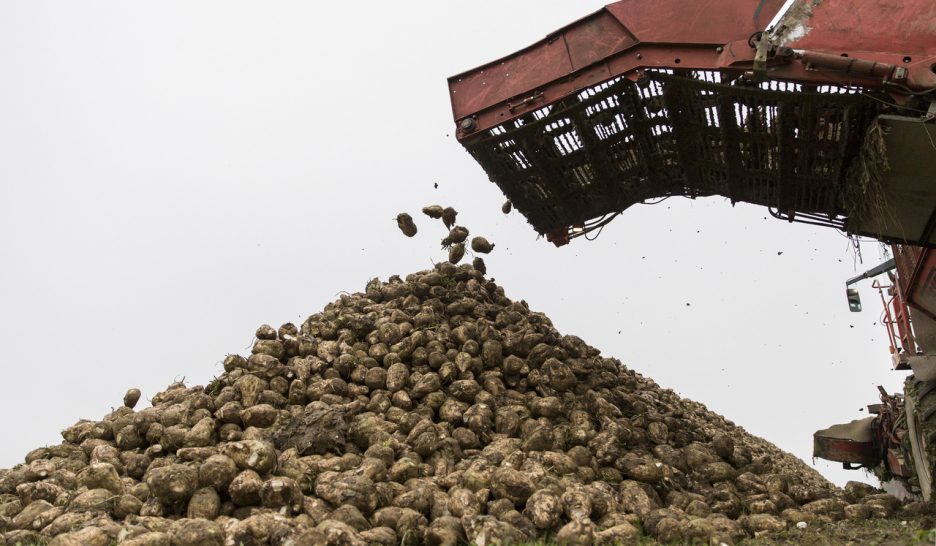 Les élus en pincent pour le sucre