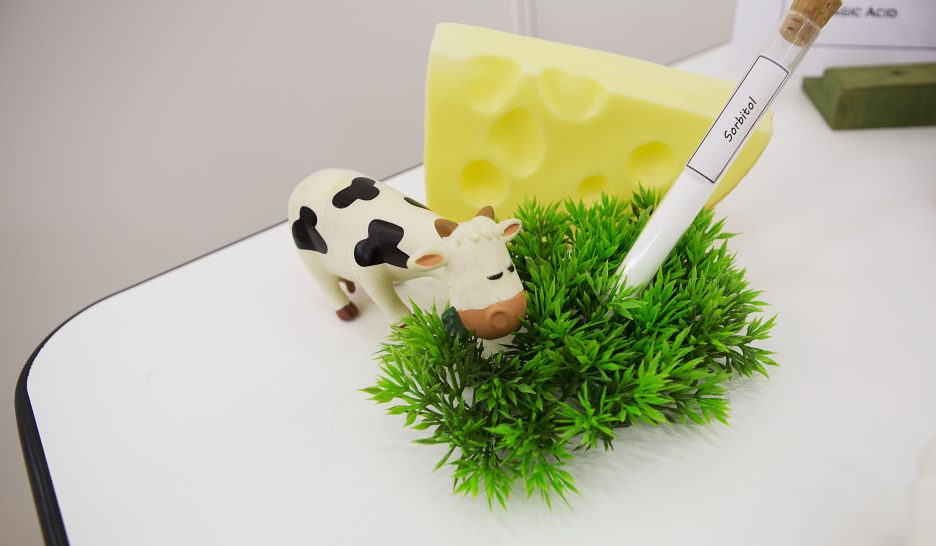 Dans l’attente du miracle climatique